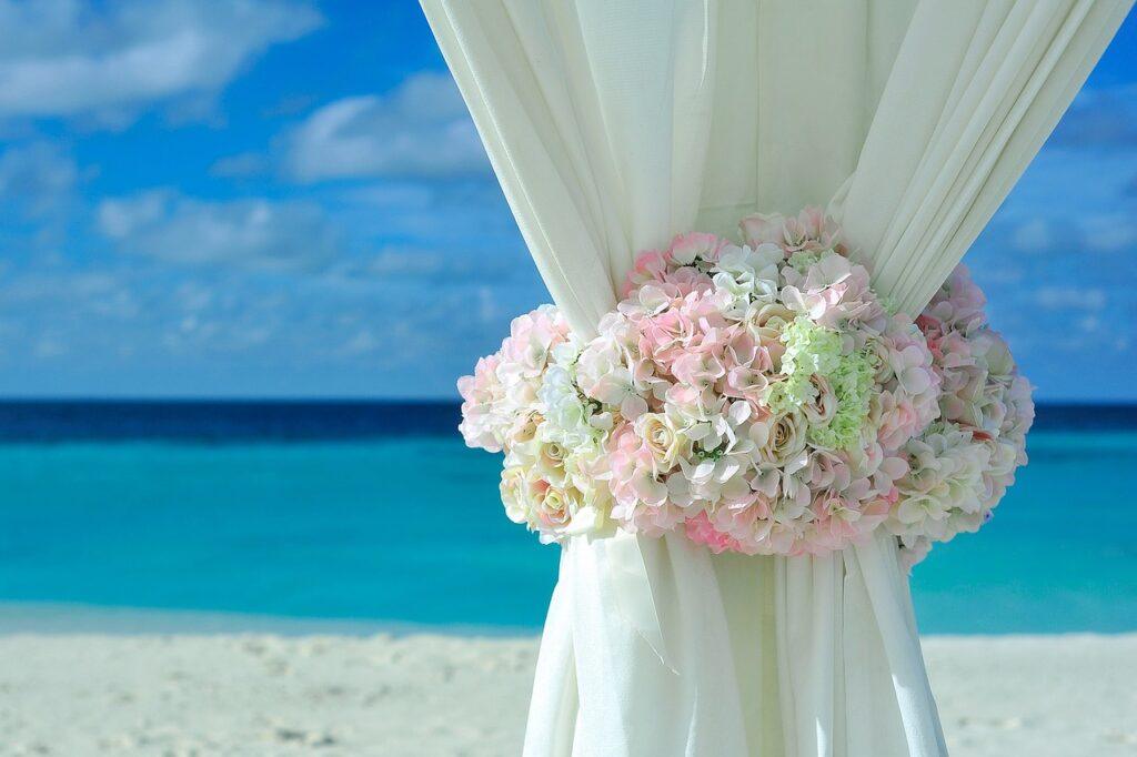 Summer 2023 weddings