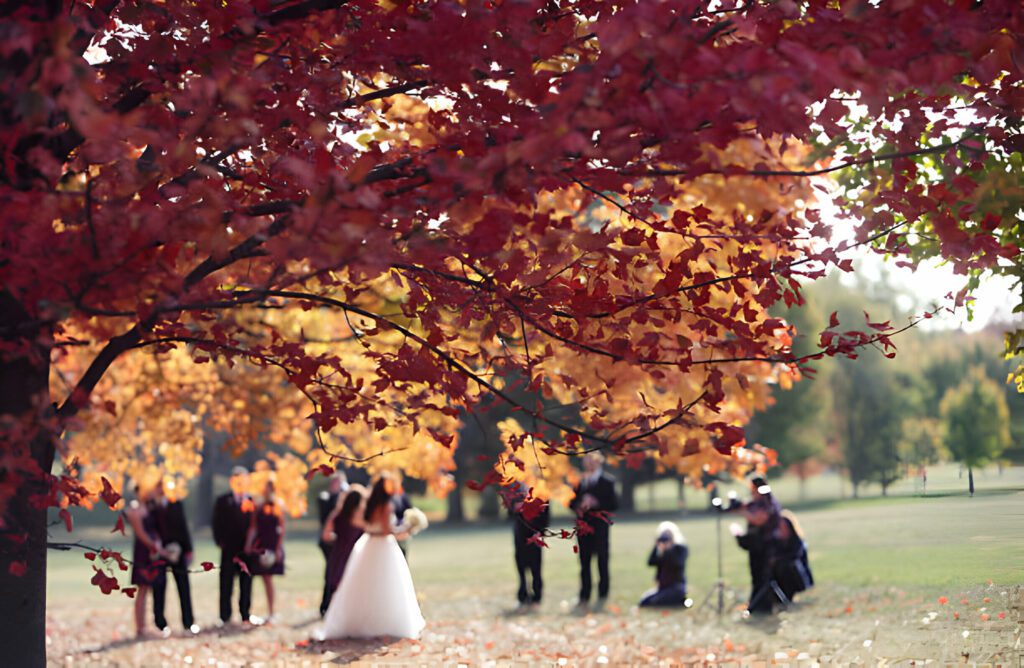 WA_April-Blog1 Wedding Academy | Your Guide to an Enchanting Autumn Wedding