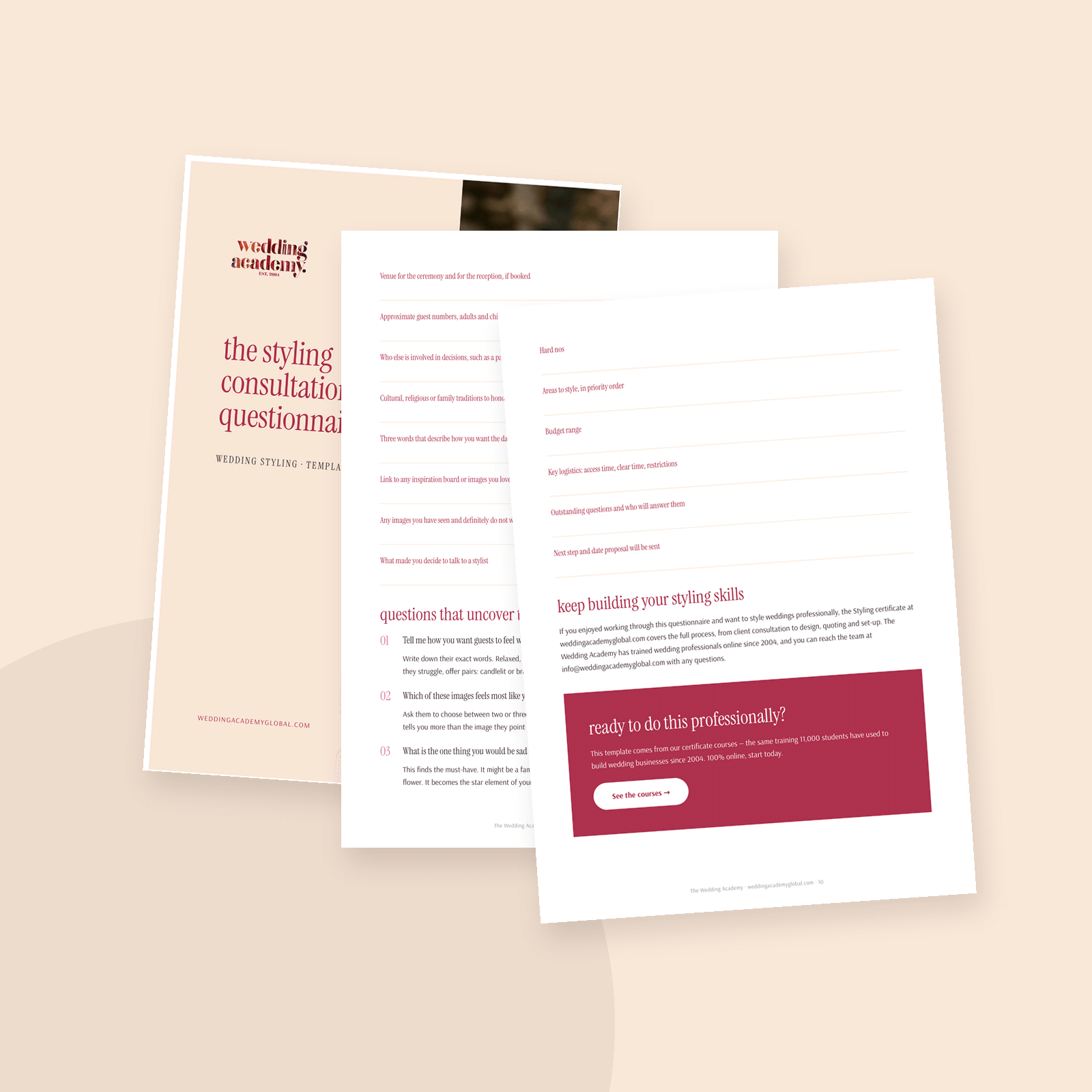 The Styling Consultation Questionnaire - printable PDF template
