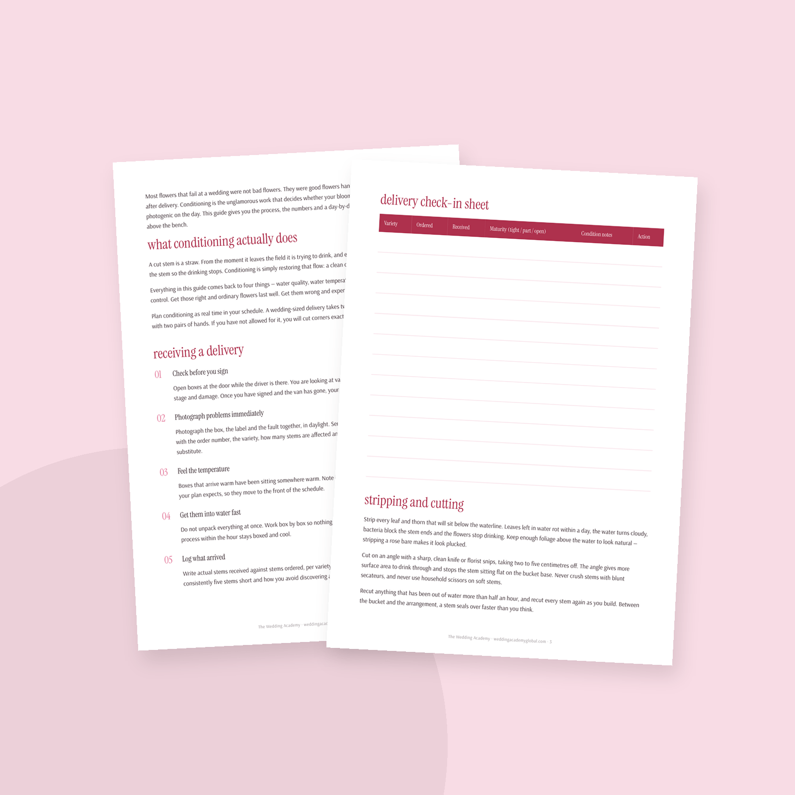 The Flower Conditioning & Care Guide
