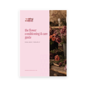 The Flower Conditioning & Care Guide